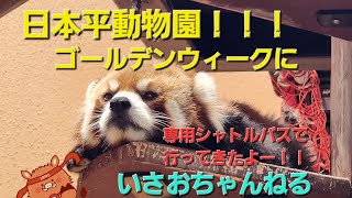 日本平動物園GWに専用シャトルバスで行ってきたよー@isaoshizuoka