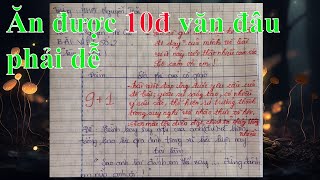 Bài văn hay 10 điểm chỉ học sinh mới nên xem