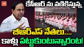 MLA Ticket Tension In CM KCR | BRS MLAs Vs KCR | Telangana 2023 Elections | BRS Vs BJP | YOYO TV