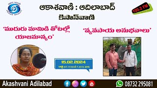 ముదురు మామిడి తోటల్లో యాజమాన్యం || వ్యవసాయ అనుభవాలు