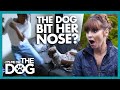 Victoria stunned to learn this dog BIT the child that wanted him! | It's Me or The Dog