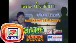 น้ำตาขี้เมา - เฉลิมพล มาลาคำ