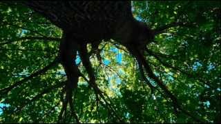 Ludovico Einaudi - Underwood - In A Time Lapse (Piano Solo)