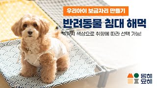 우리 아이 보금자리 만들기! 멍해묘해 반려동물 침대 해먹!