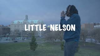 Little Nelson - N3TFL1X