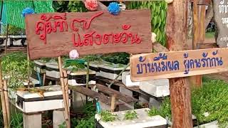 บ้านแสงอรุณ หมู่บ้านเศรษฐกิจพอเพียง \