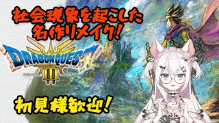 【ドラクエ３リメイク】ドラ１０では投げ売りのオーブ集めやるよ！　ネタバレ注意　HD２D　#6