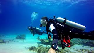 Jolly dive, Antigua