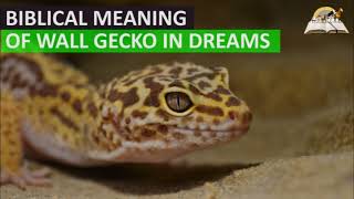 Biblical Meaning of GECKO in a Dream - Spiritual Meaning of Wall Geckos