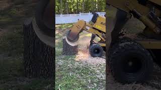 Rayco RG55R Stump Grinder #stumpgrinding #stumpremoval #stumpgrinder #kimbrellsstumpgrinding