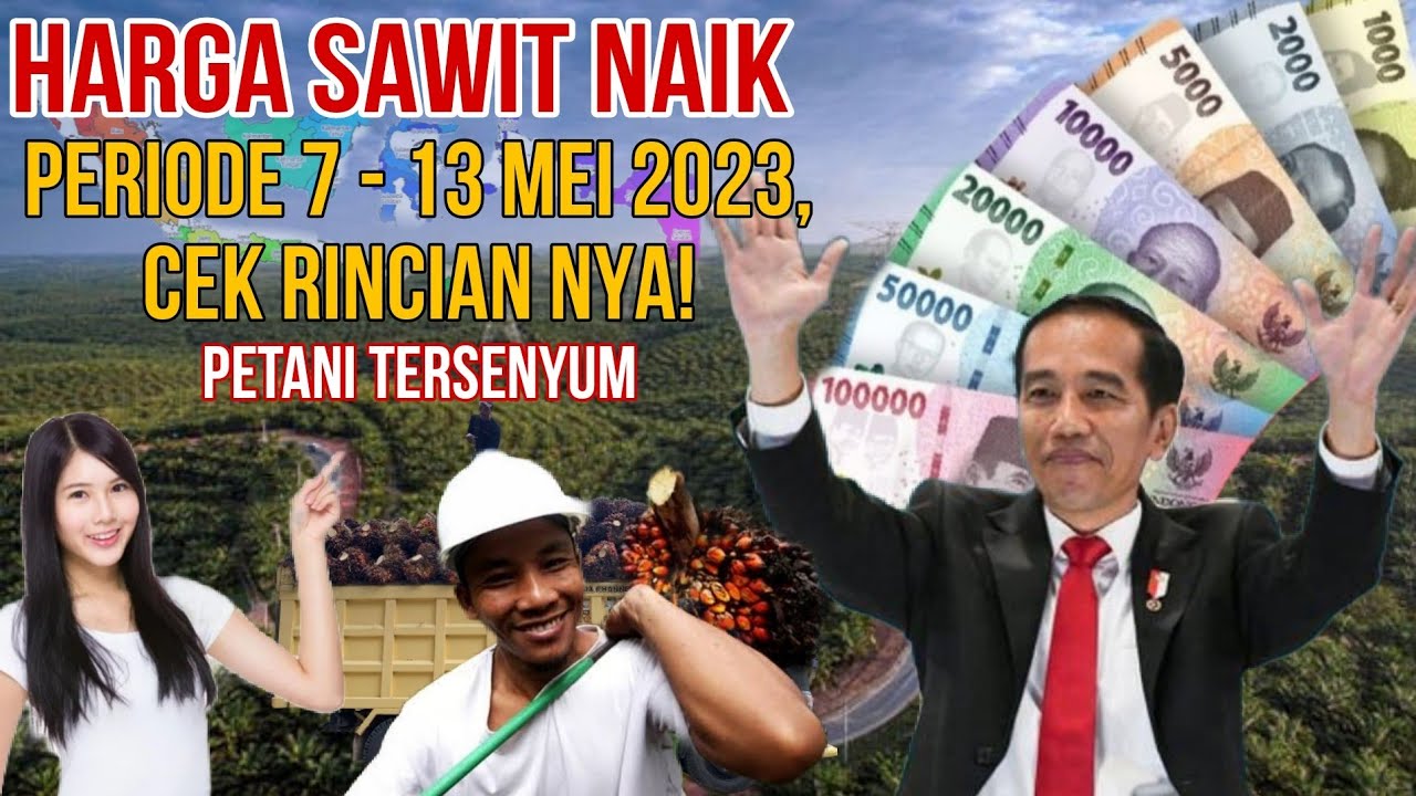 HARGA SAWIT NAIK PERIODE 7 - 13 MEI 2023, CEK RINCIAN NYA #sawit # ...