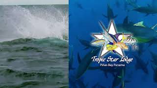 Tropic Star TV30 2021 \