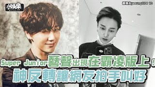 【小娛樂】Super Junior藝聲出現在霸凌版上！神反轉讓網友拍手叫好