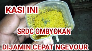 cara ngasi srdc ombyokan makan vour yang aman anti mati part 2