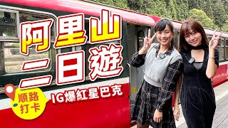 【台灣旅遊】阿里山．奮起湖二日遊！必吃檜木甜甜圈、沿途打卡IG超夯兩大星巴克