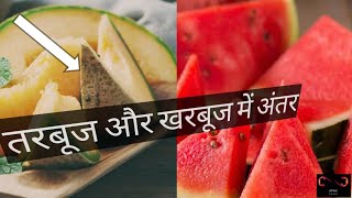 तरबूज और खरबूज में क्या अंतर है?? difference between watermelon and muskmelon.