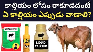 పాడి పశువుల్లో కాల్షియం లోపం రాకూడదంటే ఏ కాల్షియం ఎప్పుడు వాడాలి prevent calcium deficiency in dairy