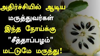 சீதாப்பழம் அதிர்ச்சி தகவல்! மருத்துவ அதிசயம்|Benefits of Custard Apple in Tamil|Health Tips in Tamil