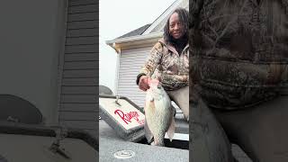 Crappie hunting with my daddy #crappiefishing #crappie #youtubevideos