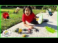 Kids Bug Hunt at home and learn about Bugs facts with Ryan!