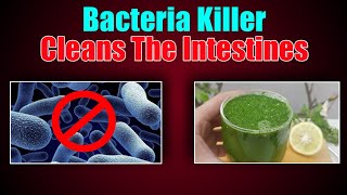 Death Begins In The Gut! Bacteria Killer! If You Have This Plant. Cleans The Intestines ✋Why Are