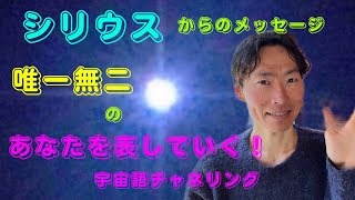 【シリウスの存在からチャネリング聞いた】唯一無二の自分を表していく🪐宇宙語チャネリングメッセージ