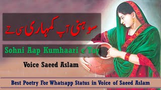 Poetry Sohni Aap Kumhaari c Tay | Saeed Aslam | Punjabi Shayari Whatsapp Status 2020