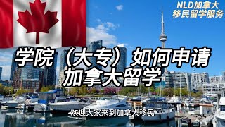 大专申请加拿大留学避坑指南