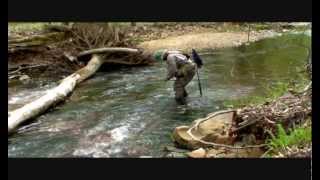 Fly Fishing a small stream  --  Fly Fishing the Hendrickson hatch --  emergers and dries