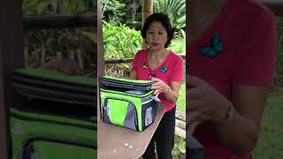 How to release butterflies