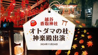 2024年11月24日：神社出演「オトダマの杜」出演映像･*..☽.｡.:*：＠越谷香取神社