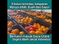 SAYUR DAN BUAH BERHASIL MASUK GAZA UTARA