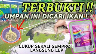 TES CAIRAN JAHAT !! BIKIN IKAN KAYAK KELAPARAN INI DIA RAHASIA UMPAN JITU IKAN MAS❗❗