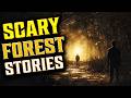 There's Something Terrifying in the Woods | 5 Scary Forest Stories