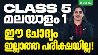 Class 5 Malayalam | ഈ ചോദ്യം ഇല്ലാത്ത പരീക്ഷയില്ല - Christmas Exam 2024 | Xylem Class 5