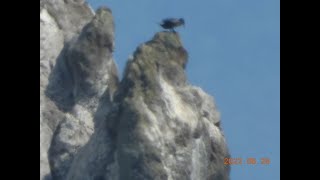 下北半島脇野沢、鯛島。