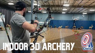 Indoor 3D shoot Elite Result 36 vs PSE EVO EVL 34:  We actually didn't shoot terrible