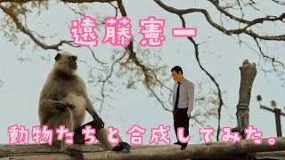 【猿の動きを見逃さない遠藤憲一】など