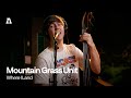 Mountain Grass Unit - Where I Land | Audiotree Live 6