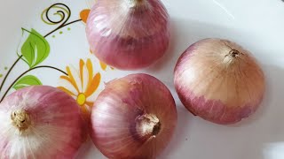 Onion Sabji |  कांद्याची भाजी | Anita's Super Kitchen