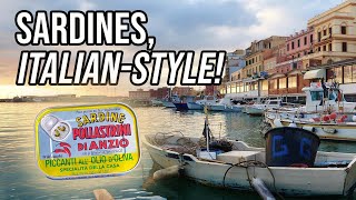 Pollastrini Spiced Sardines | Canned Fish Files Ep. 77