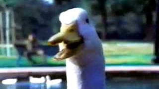 Charlie Sheen for Aflac!!!