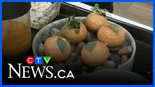 A taste of a new restaurant in Ottawa