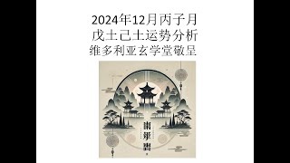 2024年12月甲辰年丙子月戊土与己土的运势分析 #四柱八字 #算命 #星座 #易经的智慧