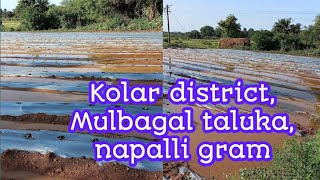 heavy rain in Kolar/heavy rain in mulbagal taluk/ #KOLAR