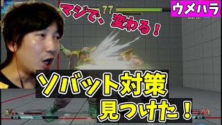 【タイムスタンプ付き】ソバット対策見つけたので、さっそく実戦投入してみるウメハラ「つえぇ！これ、マジ変わるな！」【スト5・梅原大吾】