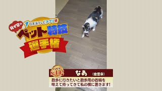 【我が家のペット特技選手権】なあ（出雲市）