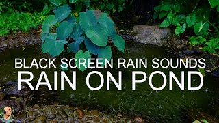 Fall Asleep Fast Heavy Rain On Pond, Rain No Thunder Black Screen, Heavy Rain Sounds by Still Point