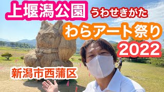 2022年9月16日 上堰潟公園わらアート祭り 今年も行ってみました 骨組み〜完成 「よろこびをもたらすもの」