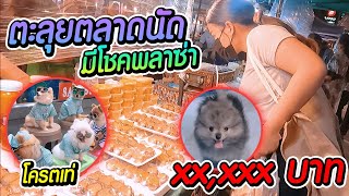 ตะลุยตลาดนัดมีโชคพลาซ่า ครั้งแรก ได้อะไรมาบ้าง ??